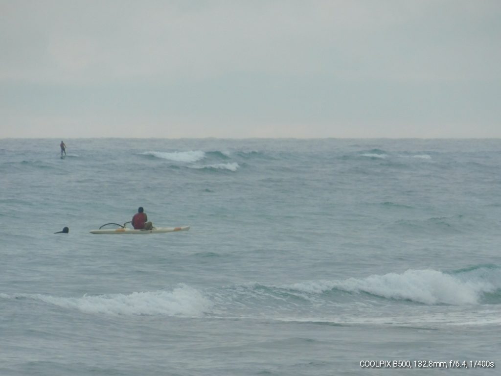 surfers in Waikiki. Maybe something to try during MS travel. 