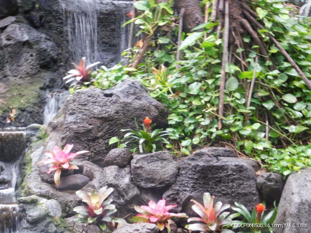 Flowery water fall with rocks