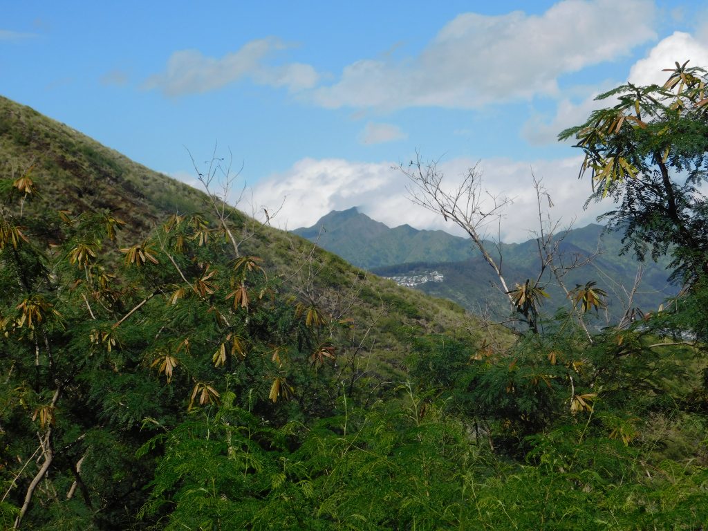 Yet another view from hiking Diamond Head