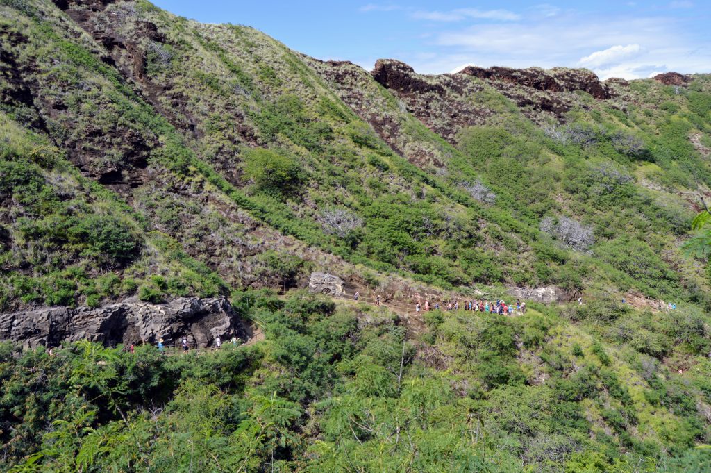 View of the Diamond Head trail