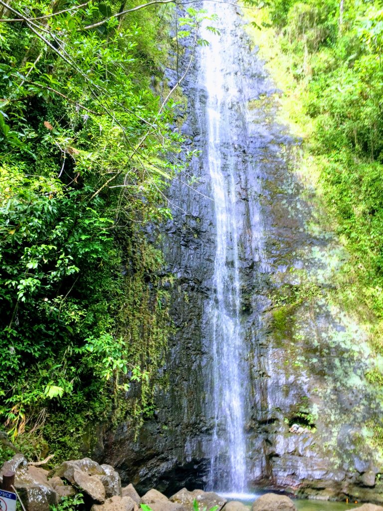 Manoa Falls hike to the magnificent waterfall! 