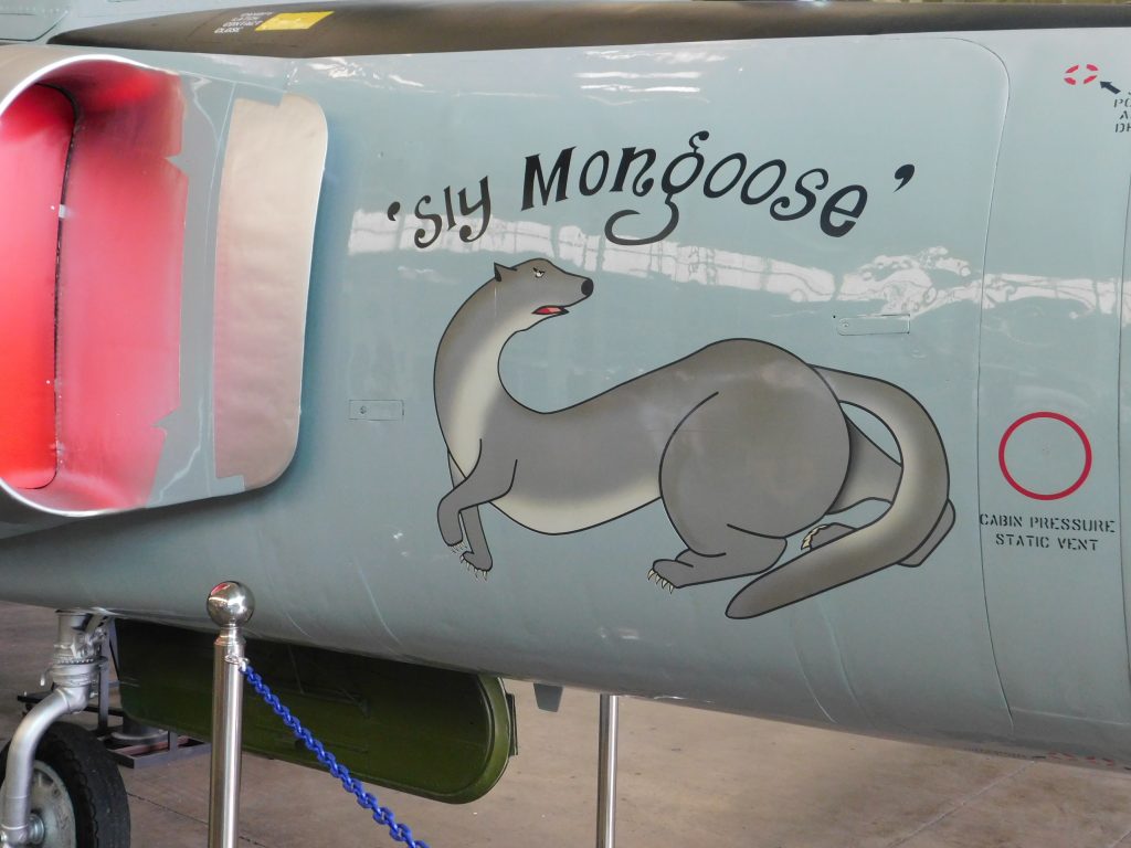 Sly Mongoose Plane, with picture of Mongoose on Ford Island