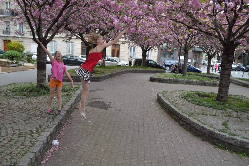 Spring in Paris with cherry blossoms.