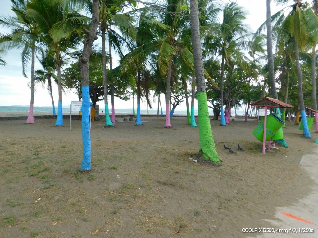 Beach with palm trees, all of them painted in different colors