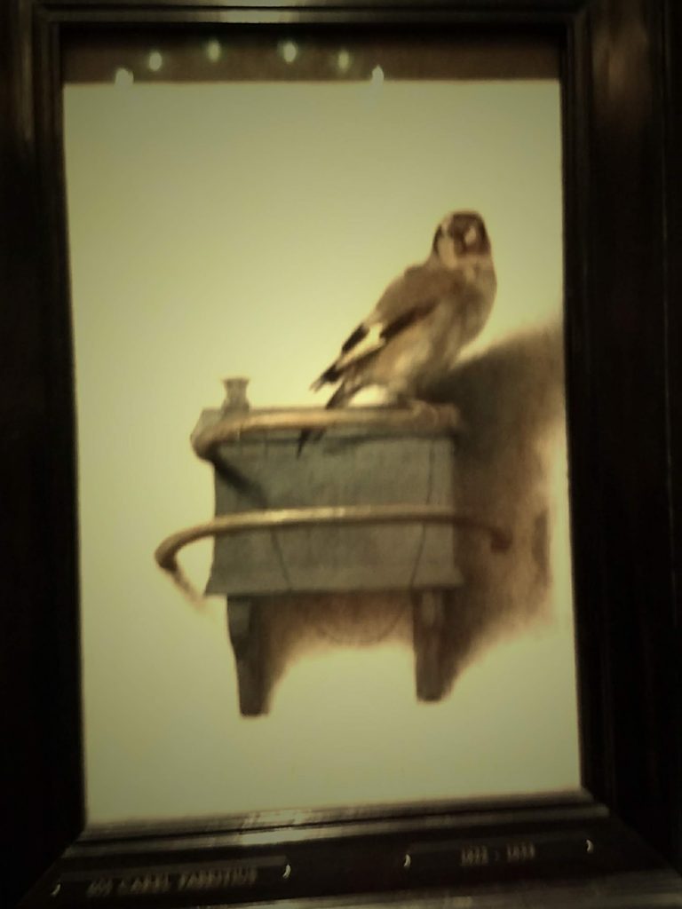 The Goldfinch painting in the Mauritshuis in The Hague. It looked totally different from our goldfinches at home in the USA. 