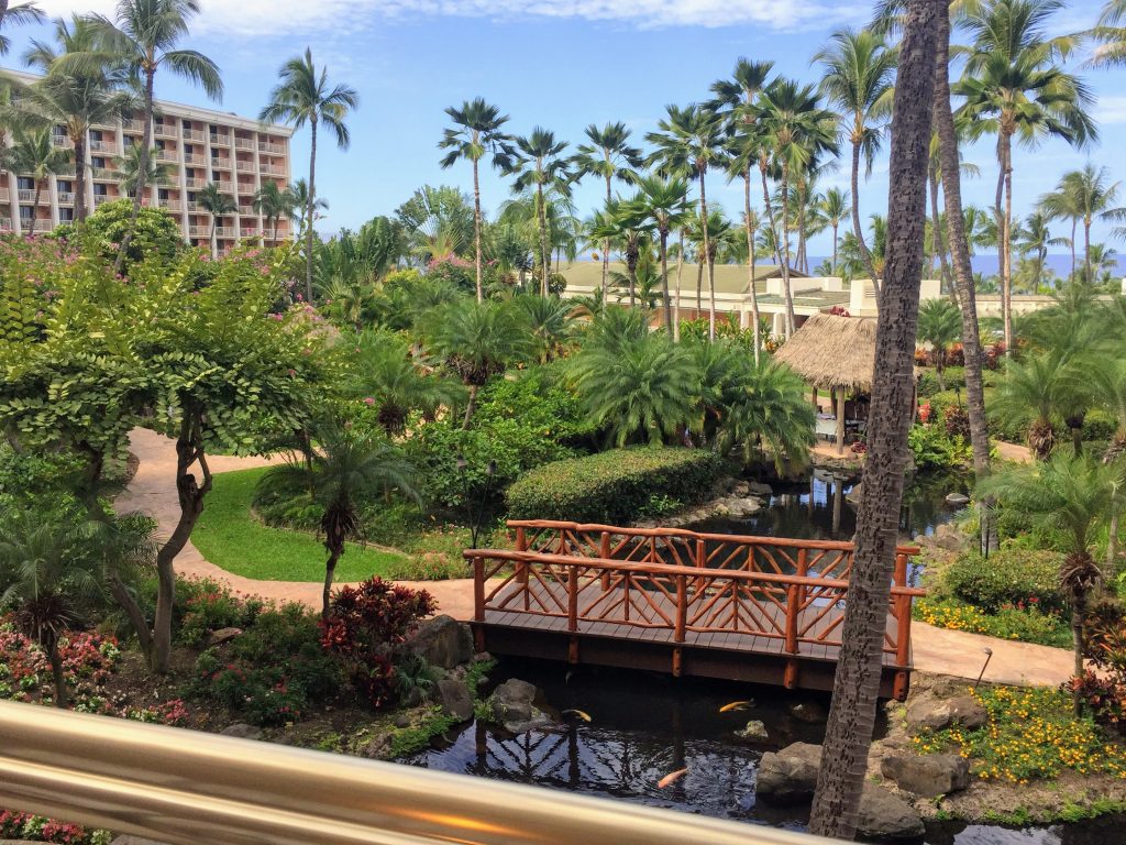 A Waldorf Astoria resort in Maui, showing palm trees and water features. Stay there for free!