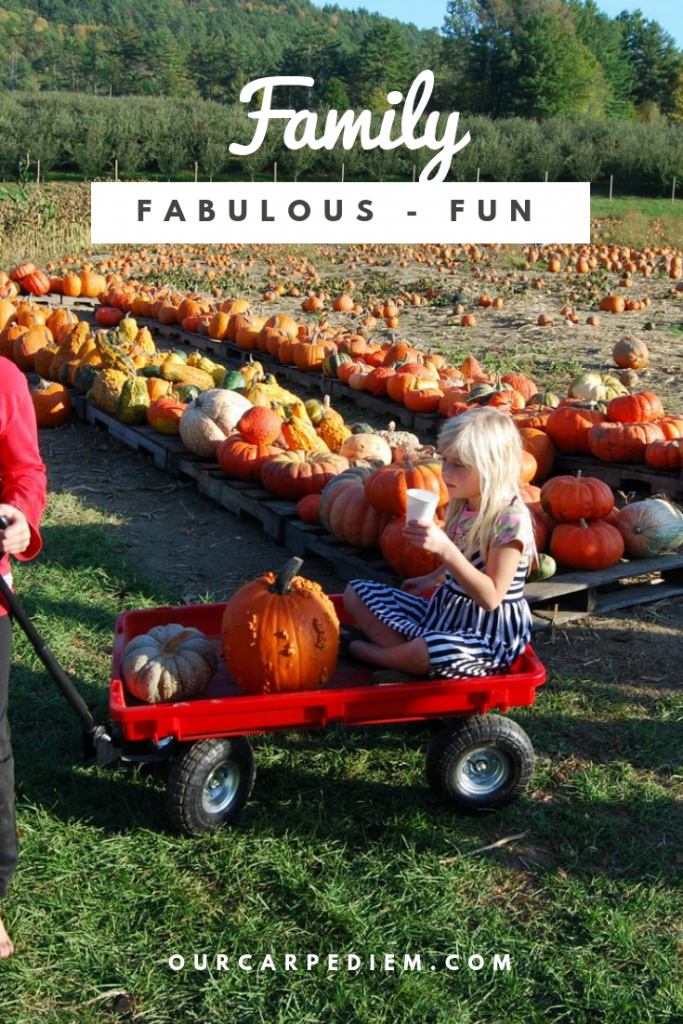 Five Fun Fall Activities for Families
What do you like to do in fall? These activities are great for everyone, with or without kids. Because I homeschooled seven kids, there always was tons of time to enjoy fall, so I share our five favorite #fall #thingstodo
Apple picking, pumpkin carving and more. Go check it out. Grab your family and enjoy autumn, build memories. Find out our favorite fall #DrSeuss book!
#OurCarpeDiem #NewEngland #outdoors 
