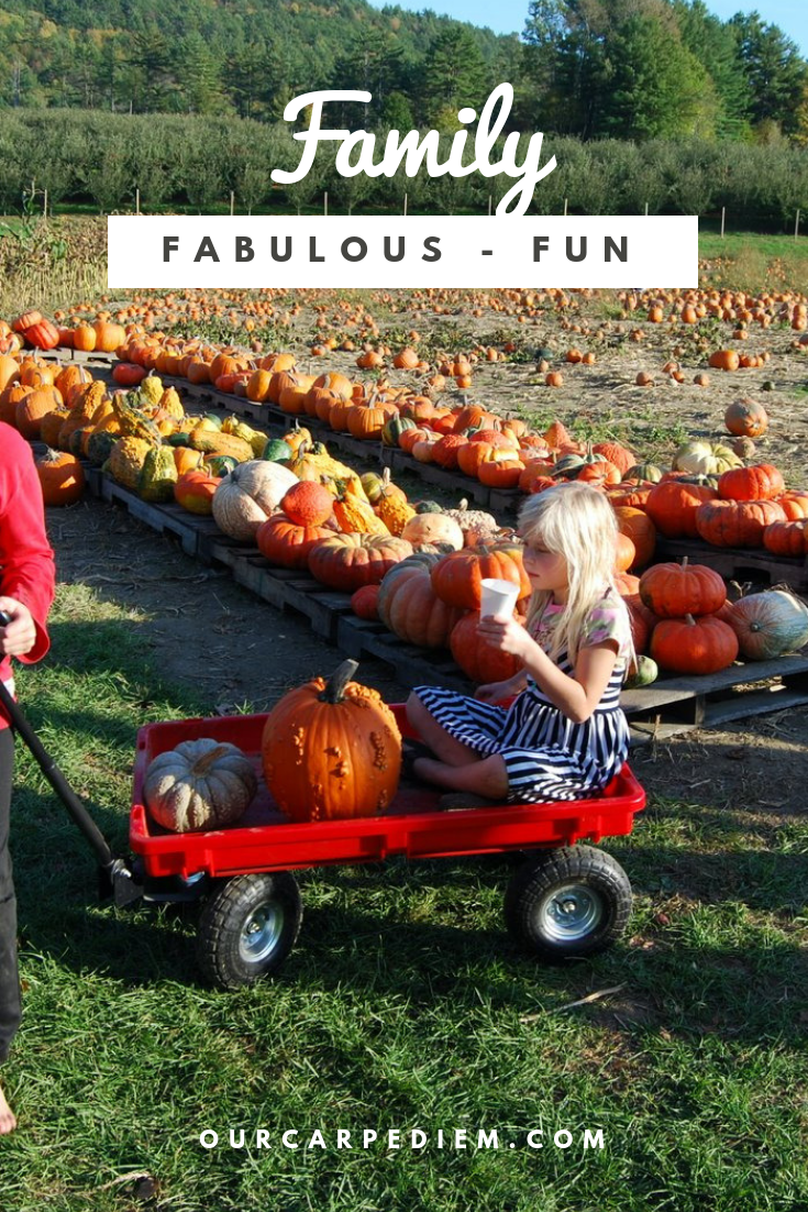 Five Fun Fall Activities for Families What do you like to do in fall? These activities are great for everyone, with or without kids. Because I homeschooled seven kids, there always was tons of time to enjoy fall, so I share our five favorite #fall #thingstodo Apple picking, pumpkin carving and more. Go check it out. Grab your family and enjoy autumn, build memories. Find out our favorite fall #DrSeuss book! #OurCarpeDiem #NewEngland #outdoors