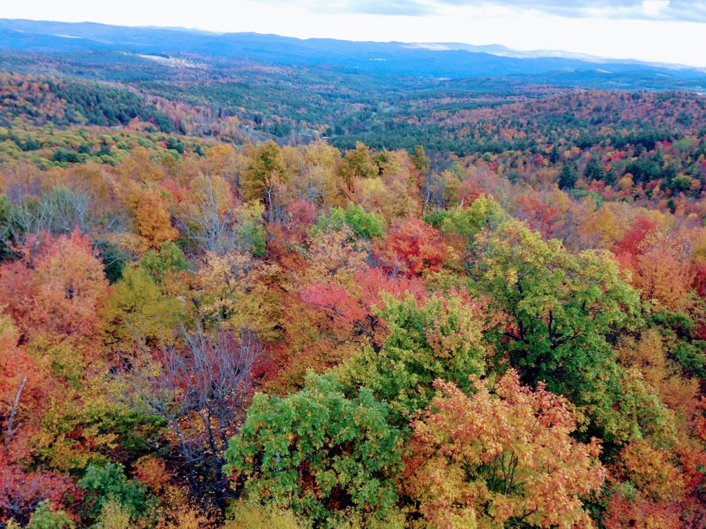 Stunning New England fall foliage.

Leaf peeping is one of our fun activities for families