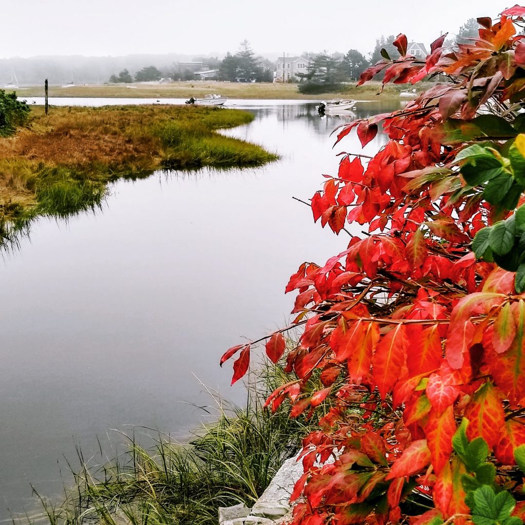 Fall foliage at the Little River in Maine. Go out with your family and enjoy the fabulous fall foliage!
#Fall 