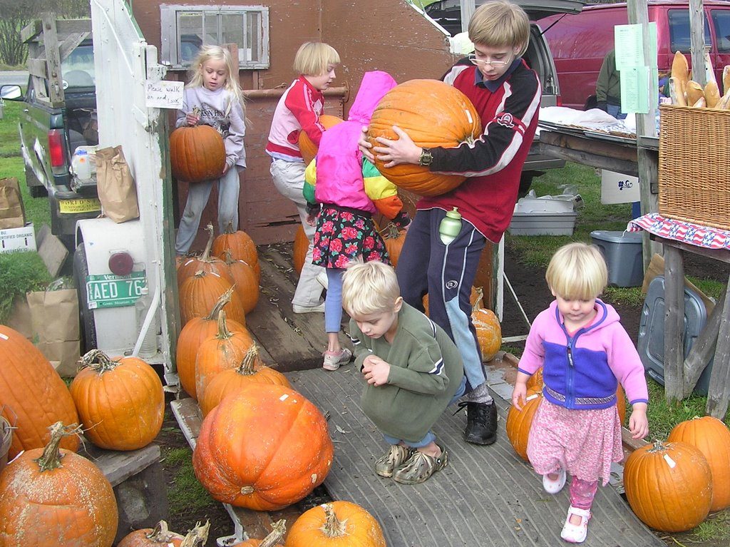 Children carrying pumpkins
Fall is fun with pumpkins time!
Fun fall family activity!