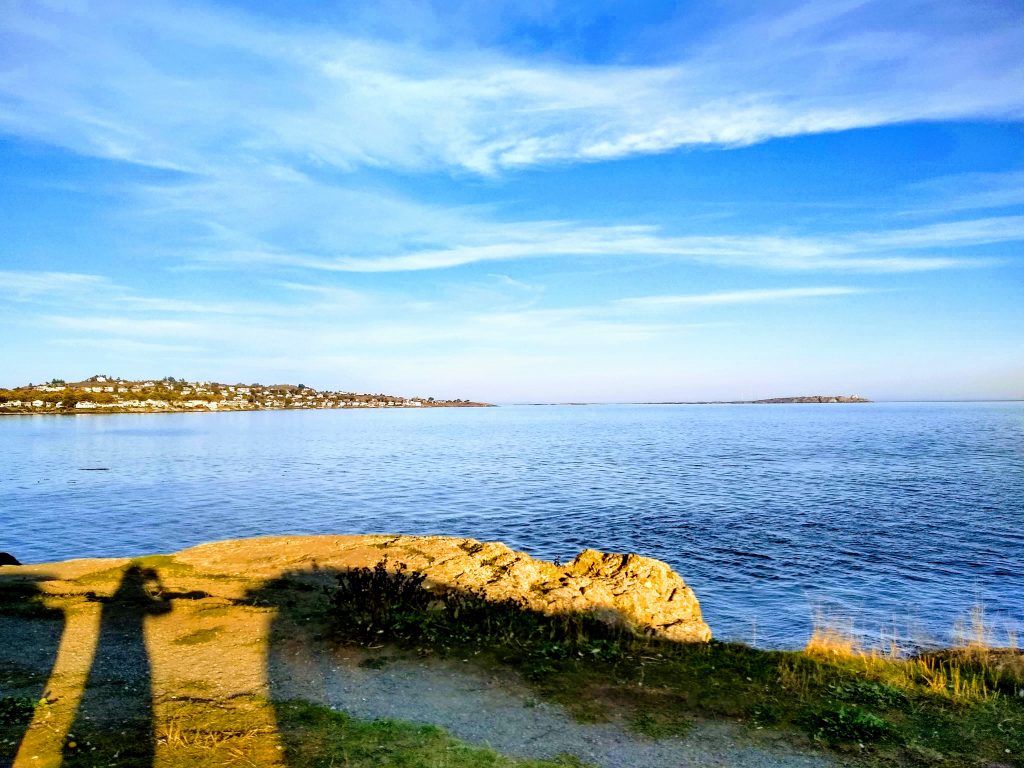 Top Ten Things to Do in Victoria: Clover Point Park View