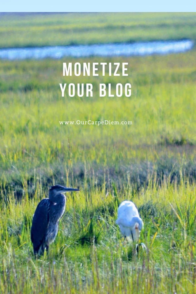 Blue heron and egret to help in making money as an Amazon affiliate