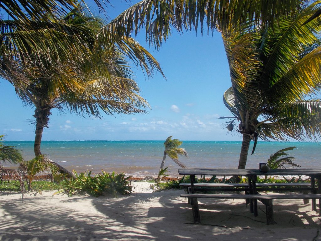 Sian Ka'an: picnic bench, palm trees and sea