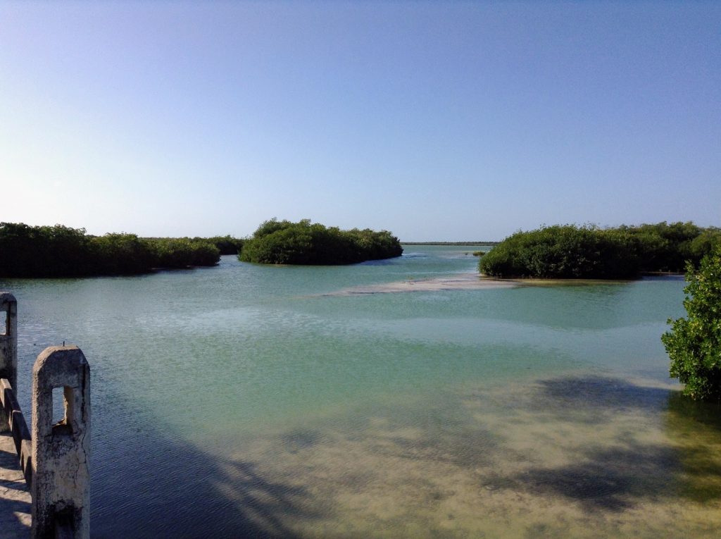 Sian Ka'an Biosphere: Looking out over some islands from the dock.  