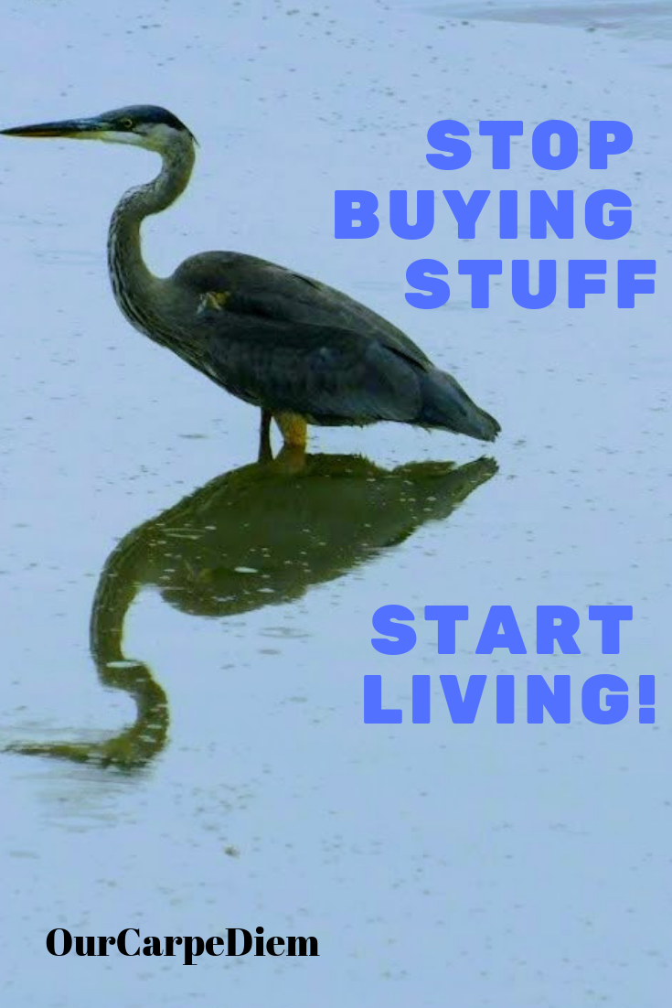 Stop Buying Stuff Are you overwhelmed with Stuff? Do you want to declutter, but it just isn't working? Are you spending way too much money on the latest gadget? Read how you can Stop Buying Stuff and live a happier life! You will have more time for experiences and friends. You will have more money to travel. Start now! Carpe Diem. #minimalism #YearWithoutShopping #OurCarpeDiem #savemoney #declutter #CarpeDiem