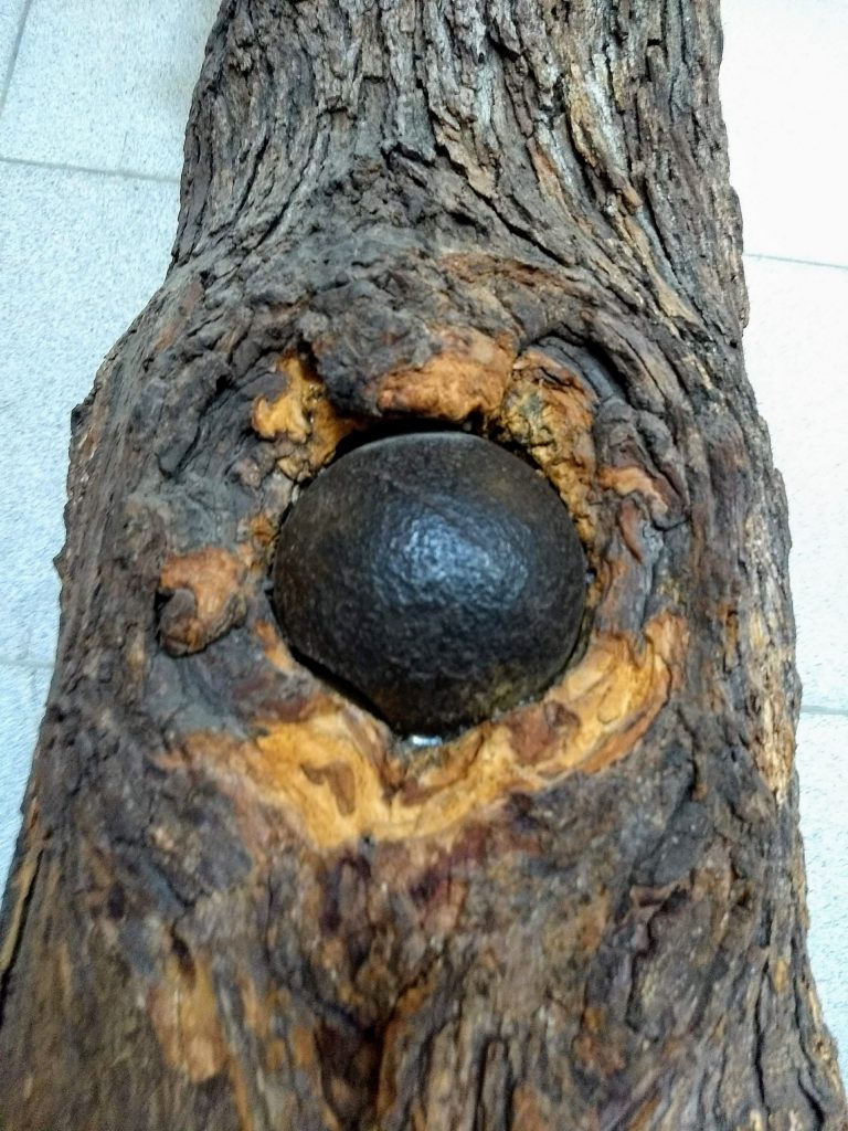 Interesting Fact in the Connecticut Capitol: A cannonball in a tree trunk from Chickamauga