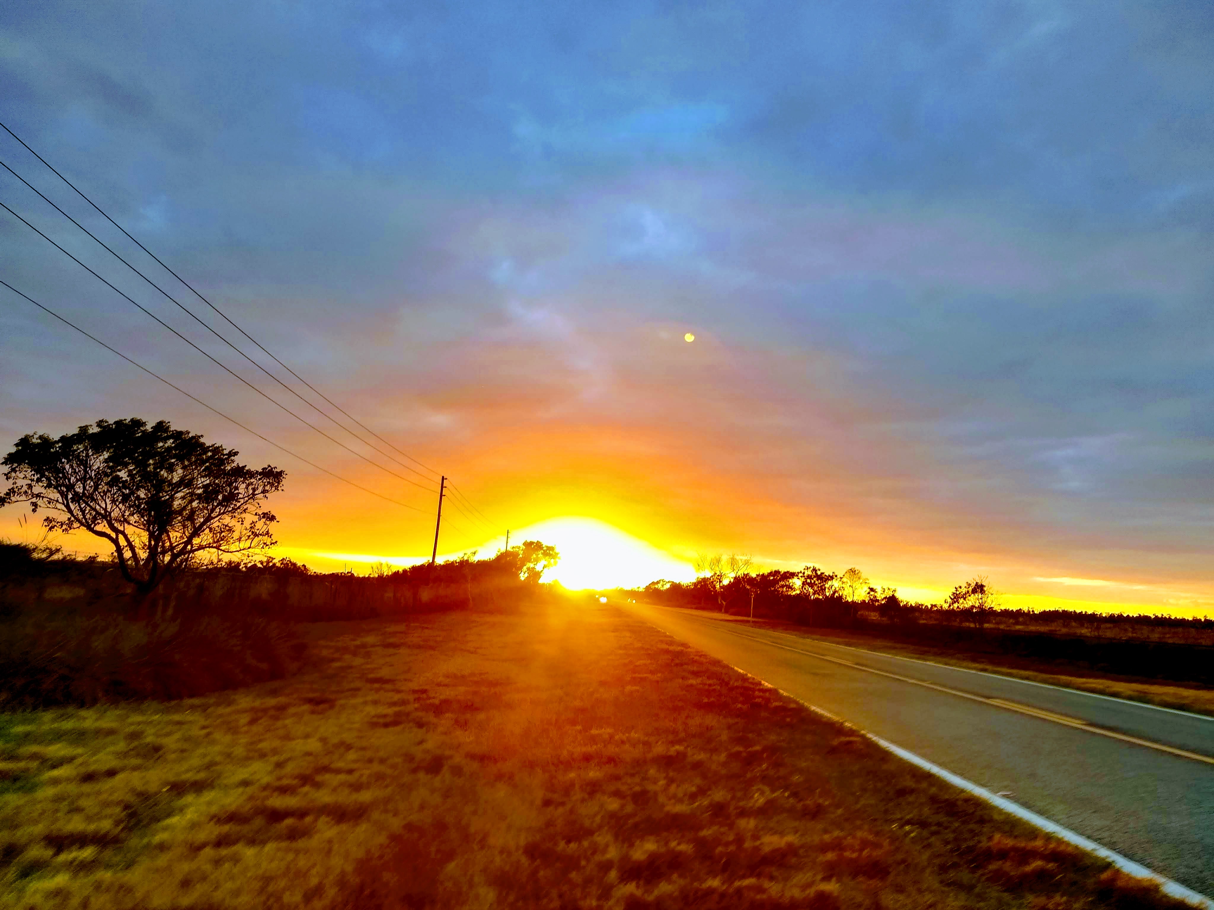 Sunset over roadway and tree, after we finished our day birding in the Everglades