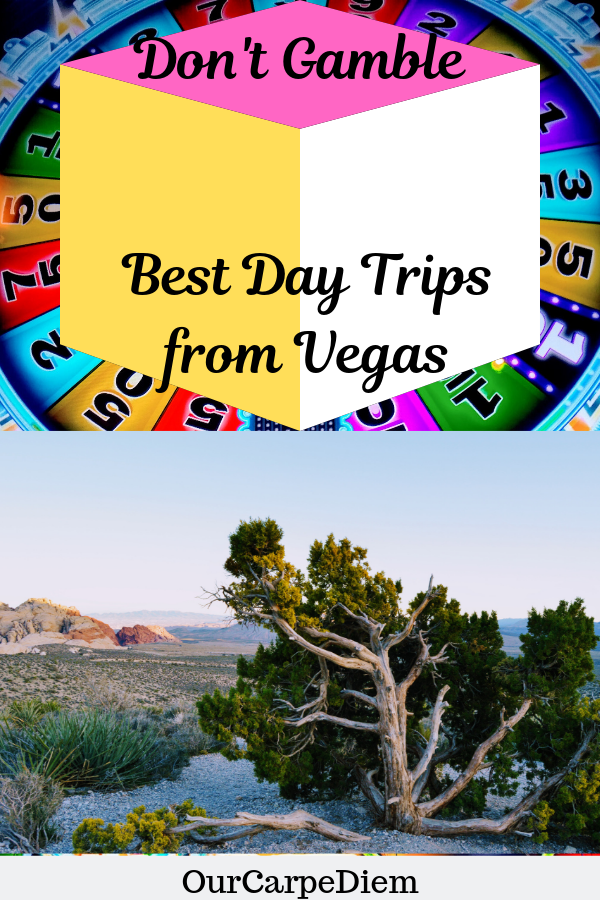 Can’t Lose Gamble: Best Day Trips Las Vegas 2021