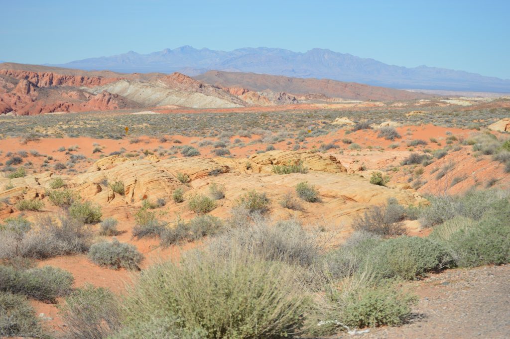 The Rainbow Vista in The Valley of Fire. Extensive view over the desert with many different colored rocks and desert vegetation.