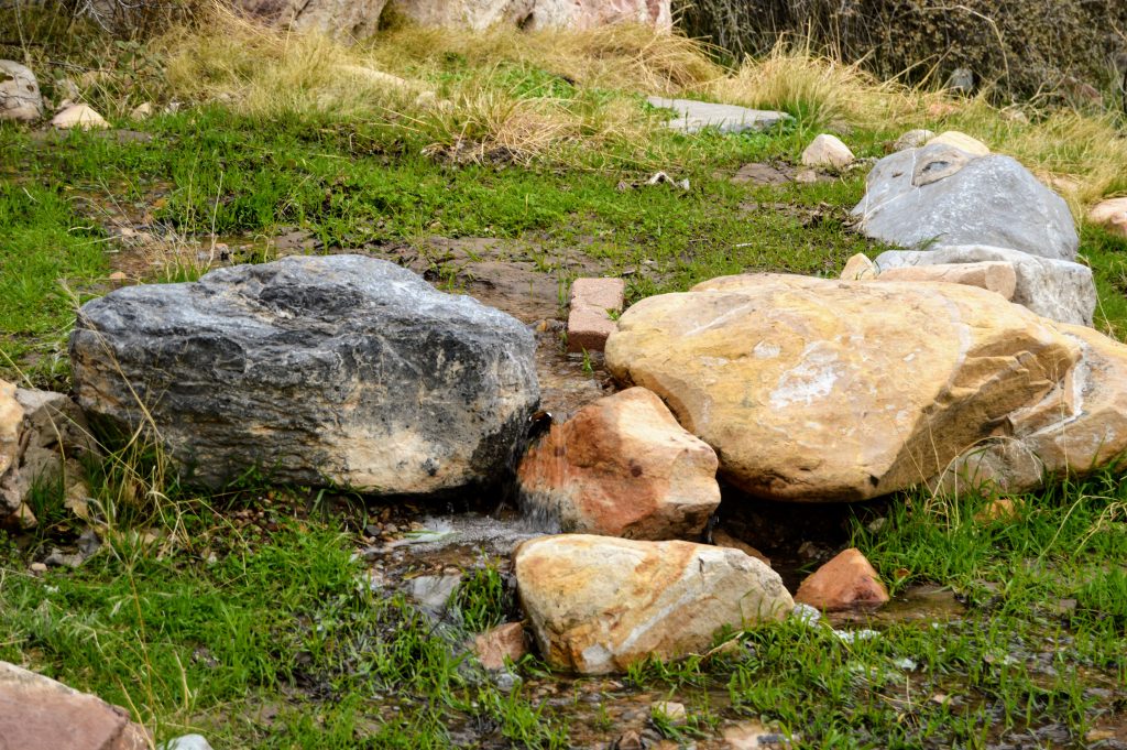 Rocks and grass in the desert of Red Rock Canyon