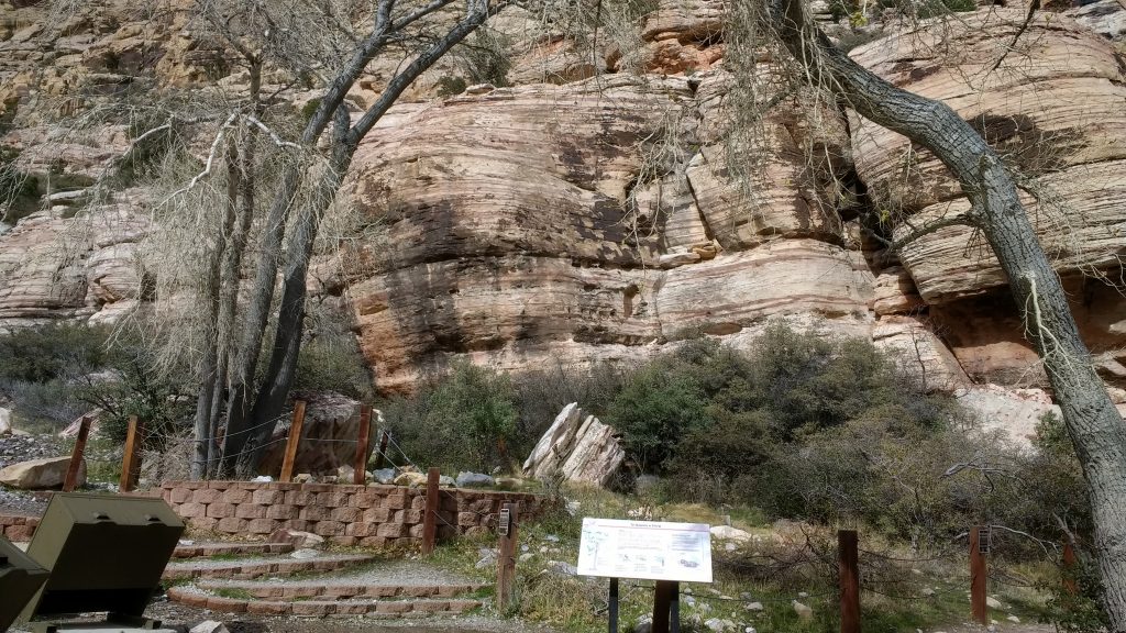 One of the stops on the loop road Rocks, trees, garbage cans and information about the desert.