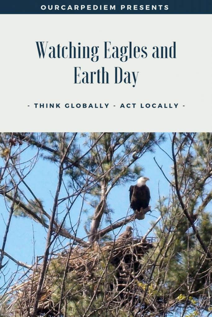 Did you know that eagles come back to the same nest year after year? Enjoy stunning photographs of our New Hampshire eagles and find tips for Earth Day activities for birders and anyone else. The truth about eagle watching and how boring it can be. Until it isn’t. Celebrage Earth Day and let eagles motivate you to pick up trash, plogging, think globally, act locally. Make your world a better place. #OurCarpeDiem #EarthDay
#travel #NewHampshire #birding #eagles #plogging
