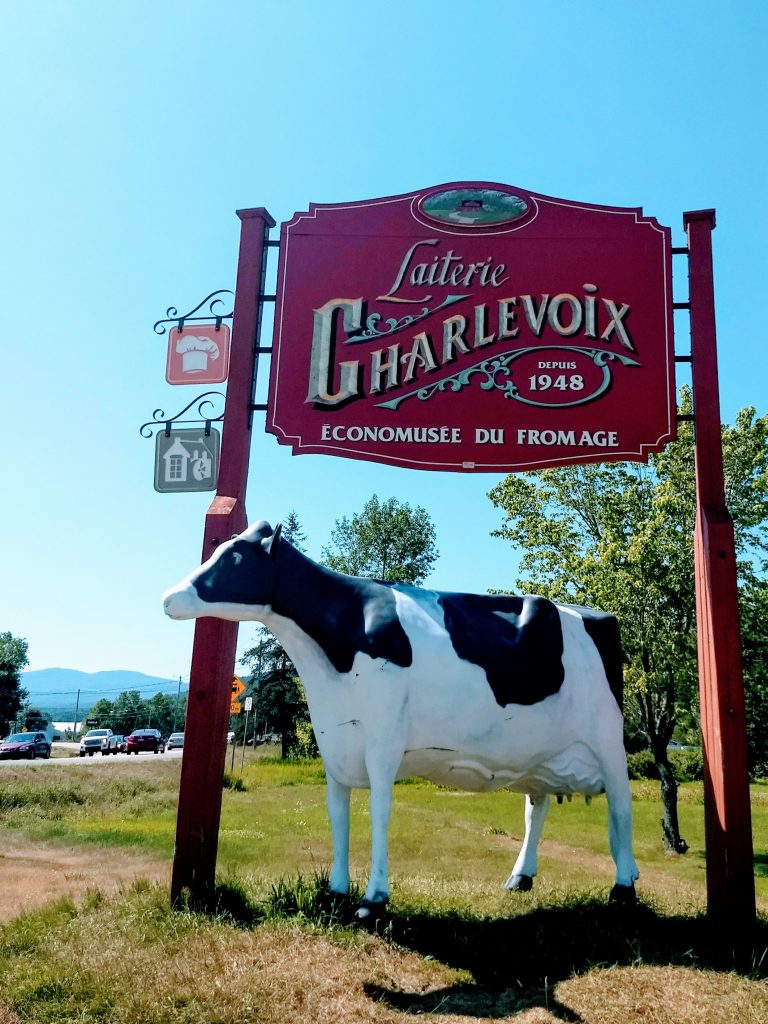 Sign "Laiterie Charlevoix, depuis 1948, Economusee du fromage" with a statue of a black and white cow underneath. Our stop on the way to watching whales out of Quebec City