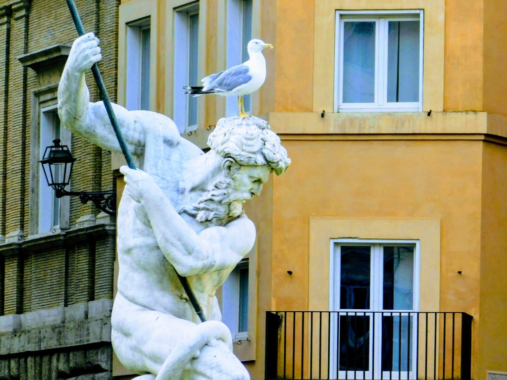 Gull on statue on Neptune statue in Rome. Do your exercises for MS but rest when you need to!
