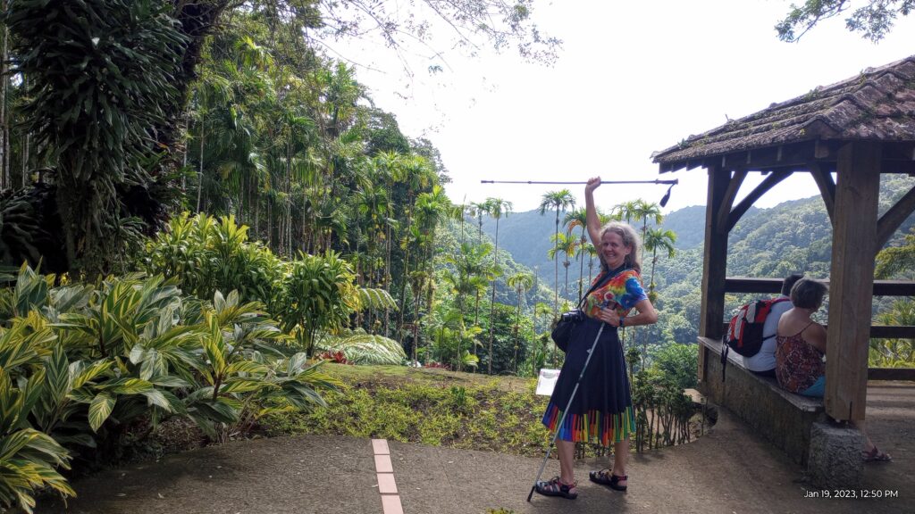 Karen with hiking poles celebrating her successful treetop walk in Martinique. Jungle in back ground