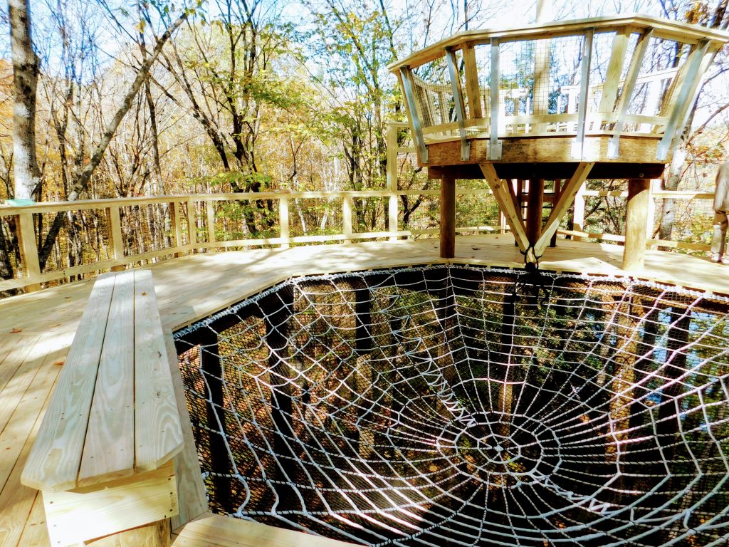 Owl's nest next to the Giant Spider Web, one of the features on the tree top walk in Vermont.