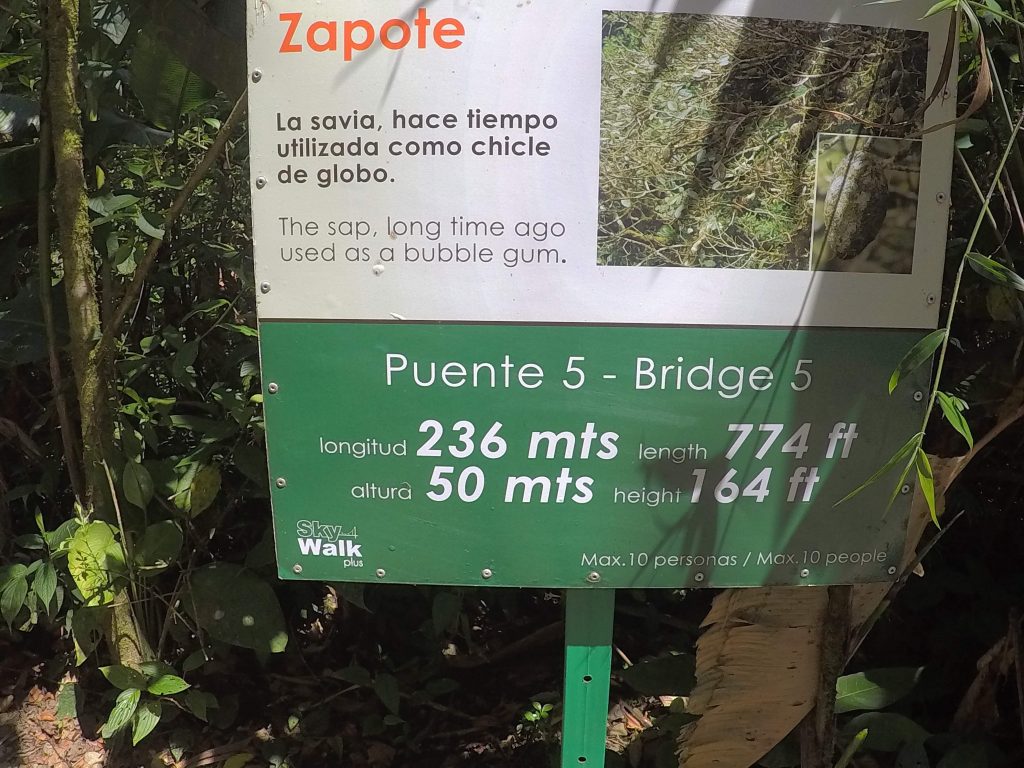 Monteverde, Costa Rica
Sign: "Zapote, the sap, long ago used as a bubble gum"