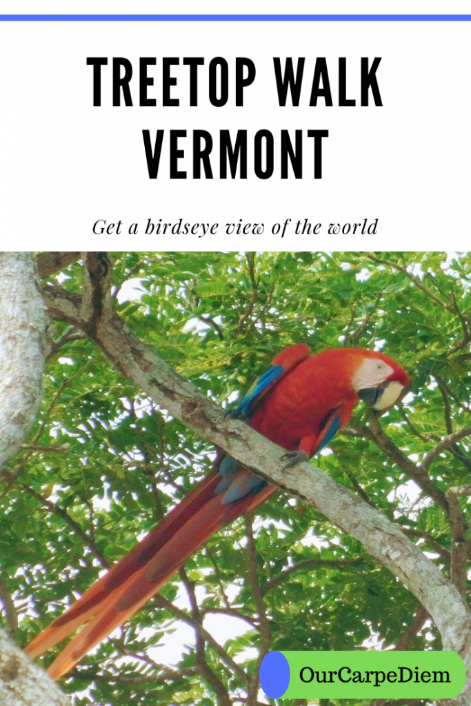 Treetop Walk Vermont
Want to get a birdseye view of the world? Go check out the #treetop #walk in #Vermont at the Vermont Institute of Natural Science (VINS) Look out over the Vermont countryside from the tree house. Shake paws with a giant spider while you relax in a spider web, suspended many feet above the forest floor. Climb into an eagle’s nest! Learn about other treetop walks around the world. Take the kids on a #forest #adventure #OurCarpeDiem #traveldestinations #hands-on #science #trees
