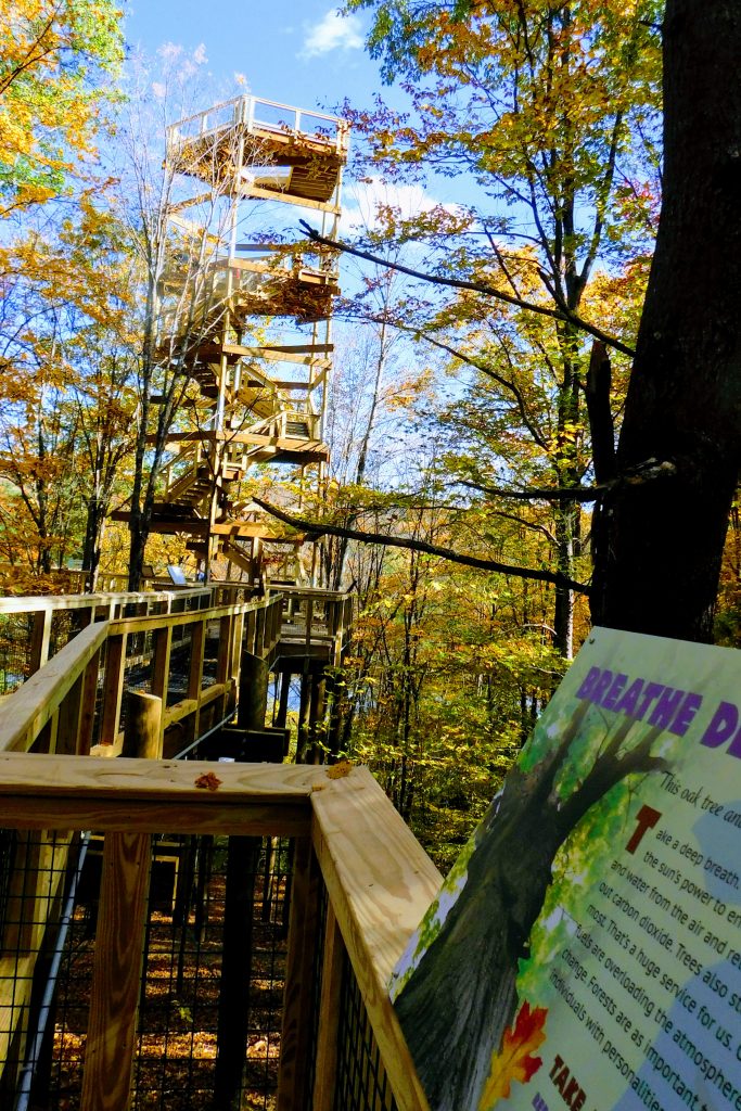 The tree house at the Forest Canopy Walk at VINS. High wooden tower surrounded by trees.