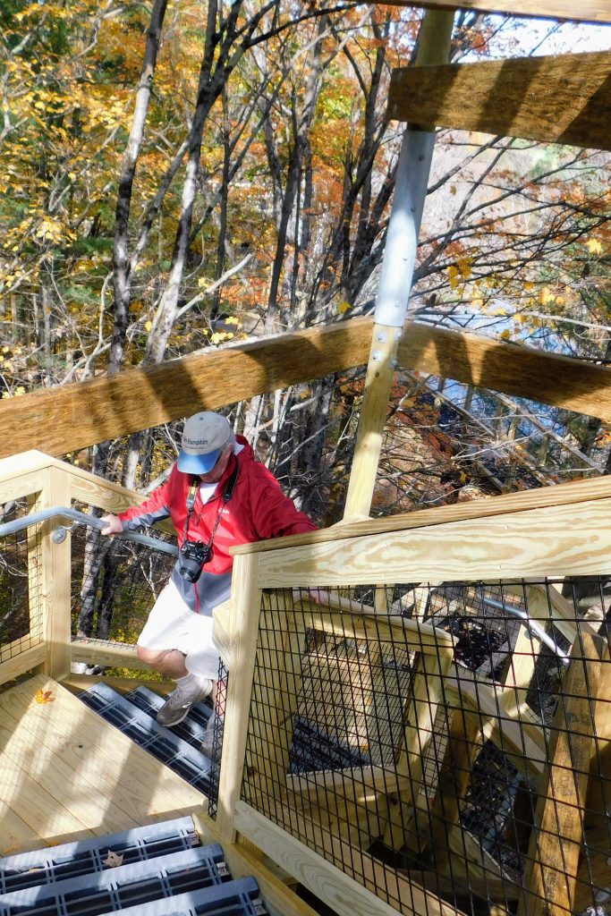 Tom climbing the stairs of the tree house at the Vermont treetop walk at VINS