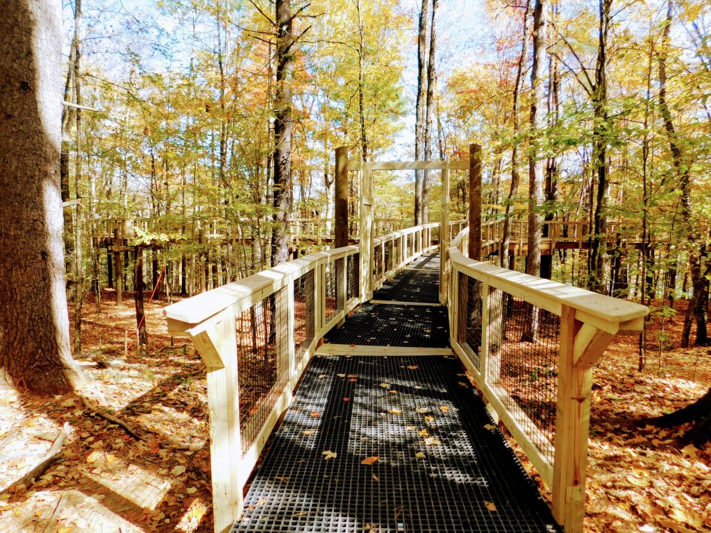 Boardwalk surrounded by trees. The treetop walk in Vermont is handicap accessible for wheel chairs and strollers.