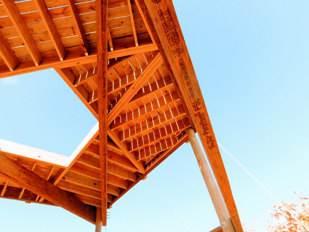 Looking up at the Tree House during our treetop walk in Vermont. Go check it out!