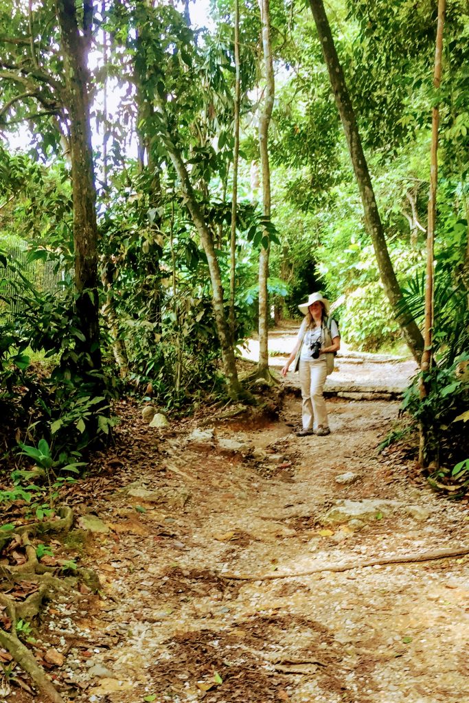 Karen on her way through the jungle to the treetops in Singapore. Living with MS interfered with this attempt but we will be back. For now, we did the one in Vermont instead. 