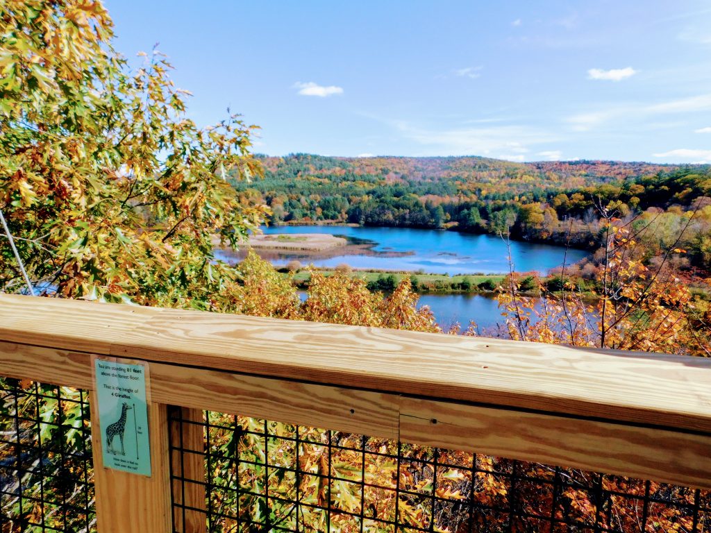 Treetop walk in Vermont:
View from this walk in Quechee Vermont. It looks like you are a bird, looking out over the countryside and the water.