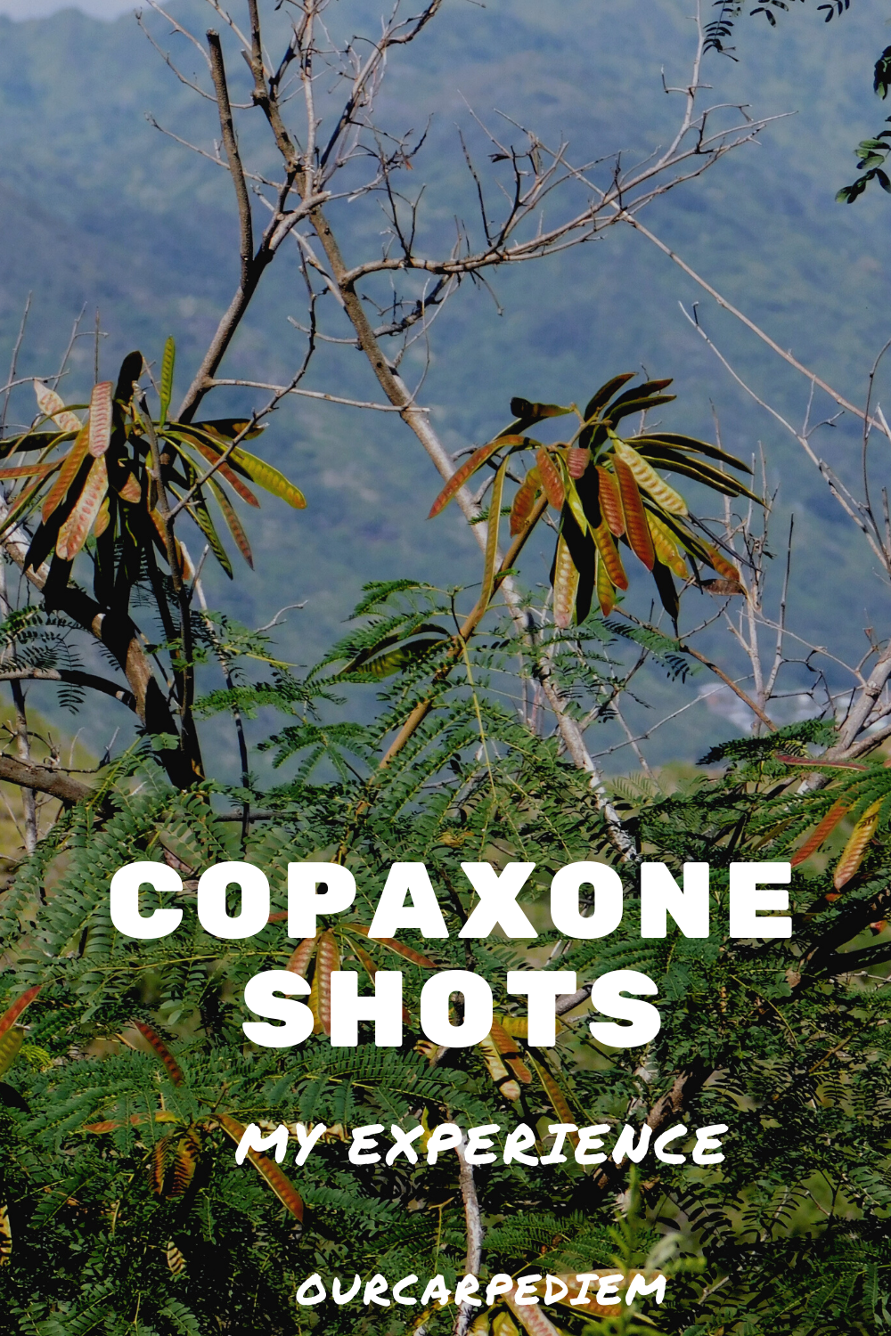 A long-time MS-warrior shares her experience with Copaxone shots. If you are worried about these shots, check out this article. It also covers why I stopped using #Copaxone for my multiple sclerosis and started using Gilenya. | Disease Modifying Medication | self-inject | afraid of needles | #MSwarrior #MSstrong #OurCarpeDiem #MultipleSclerosis #MS #ChronicIllness #LifeWithMS #spoonies