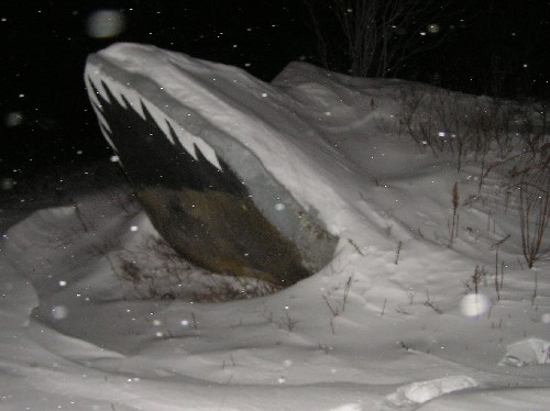 Snow shark rock