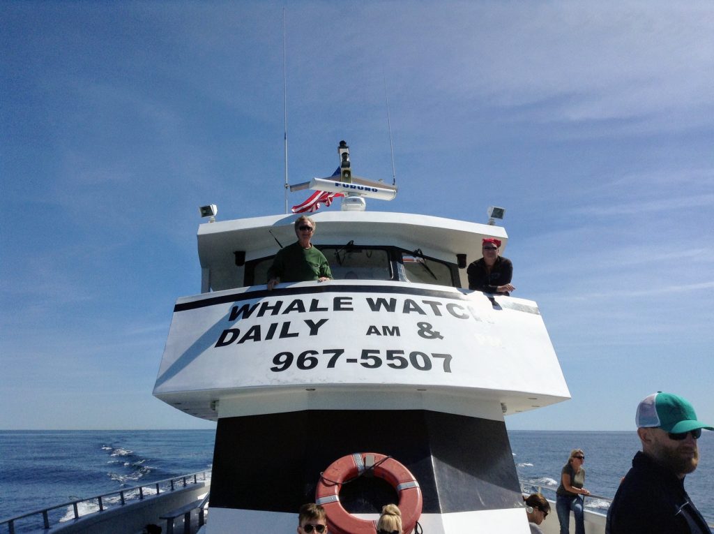 First Chance Whale Watch boat

Fun thing to do in Kennebunkport