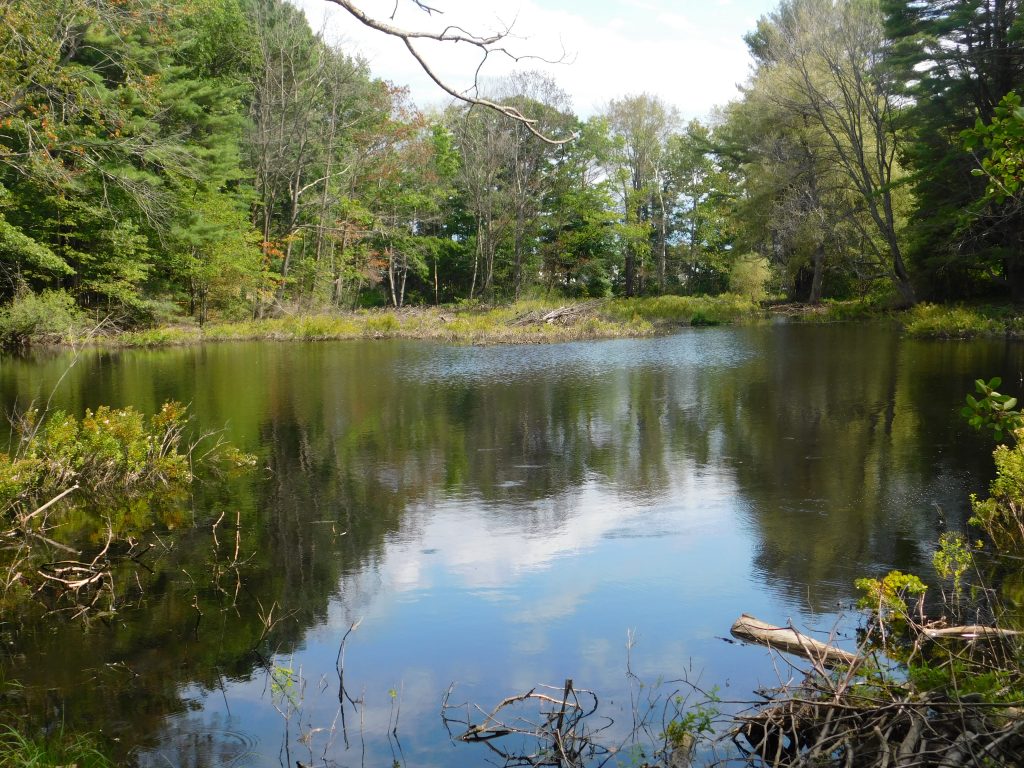 Serene view over a pond in Kennebunkport at the monastery