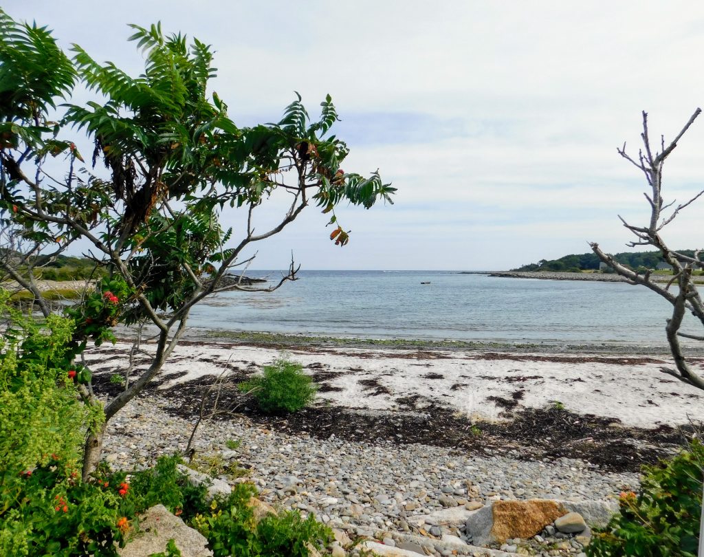 Timber Point Trail.
One of the top things to do in Kennebunkport