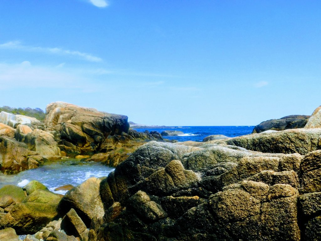 Rocks overlooking the ocean. 
What an amazing thing to do around Kennebunkport !