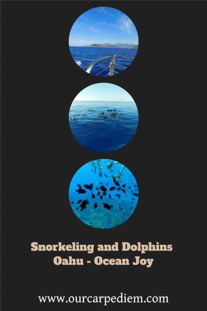 Discover the deep blue underworld of Oahu, snorkeling and watching dolphins. Visit age-old coral reefs all from the comforts of the Ocean Joy. Be amazed by spinner #dolphins. Explore the rich variety of colorful fish life. Hold a starfish in your hands! Find out about #snorkeling at Electric Beach on #Oahu. #OurCarpeDiem #NatureCruise #Hawaii #BestThingsToDo
