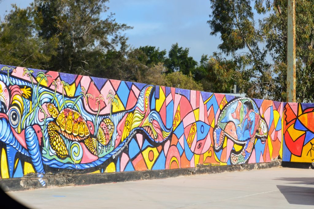 Mural with gray whale, sea turtles and fish