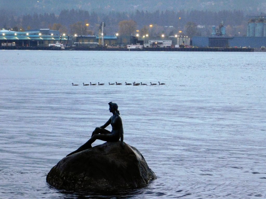 Girl in a wet suit statue with geese swimming in background