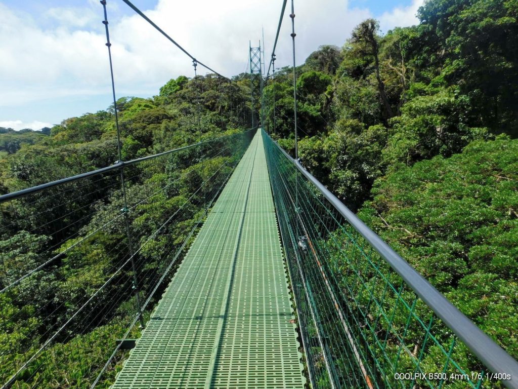 Long long bridge on the treetop walk in Monteverde