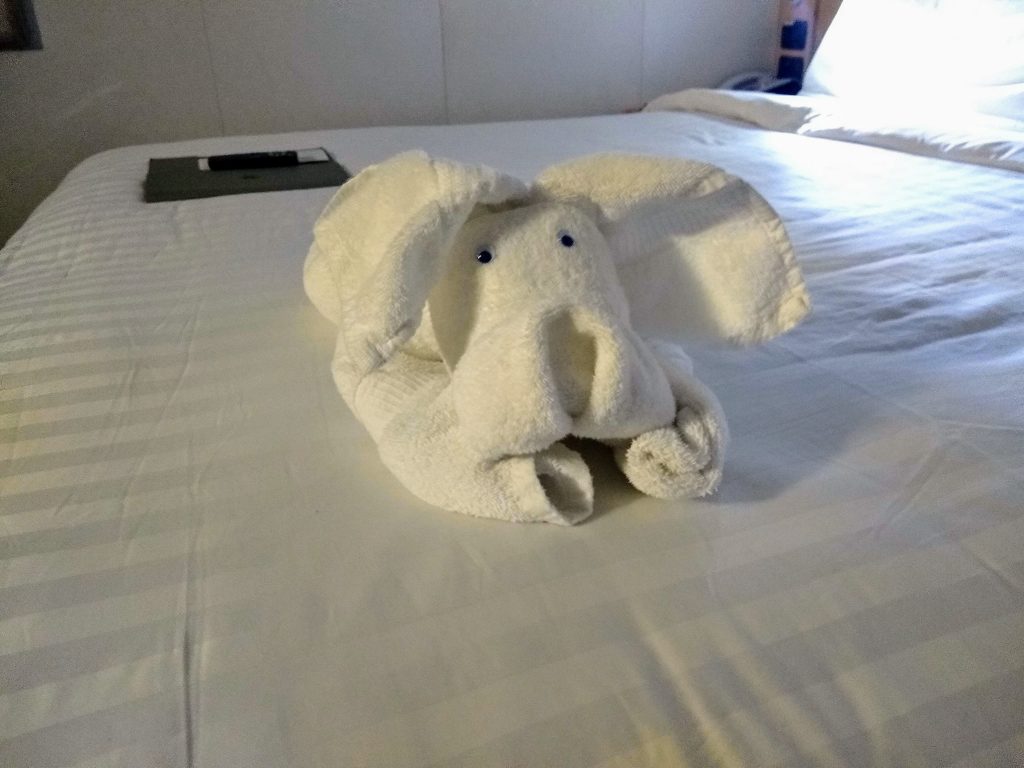 towel bunny on our Holland America Alaska cruise